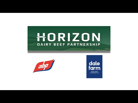 The HORIZON Project by ABP and Dale Farm