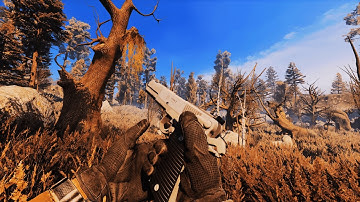 S.T.A.L.K.E.R. Anomaly - Flying Pseudogiant