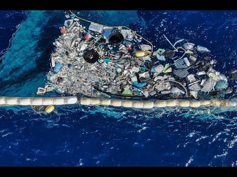 Plastics Are Accumulating In The Oceans