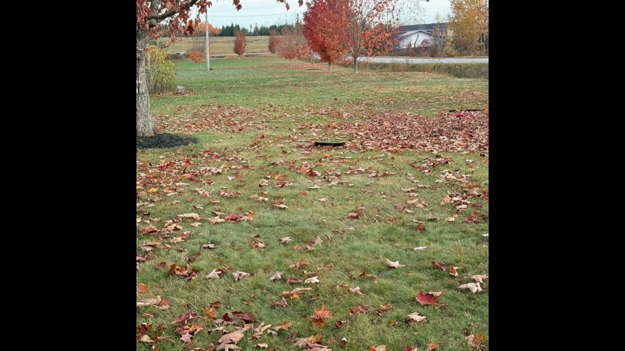 Relaxing music make you feel calm n peaceful 🎶🎶 #Relax, #peace, #Meditation, #therapy, #love, #vlog