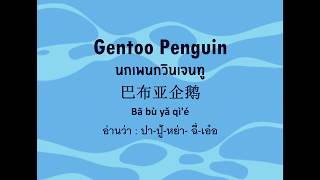 มหัศจรรย์เพนกวินน้อยผจญภัยในดินแดนน้ำแข็ง(Penguin Ice Playground Challenge) 企鹅冰雪场