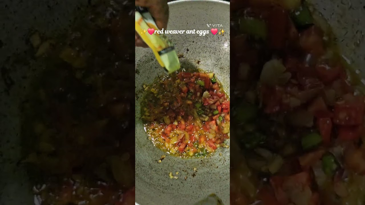 ✨️❤️red weaver ant egg❤️✨️|| (demta) || 