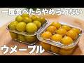 【仕込み5分】1年中食べられる梅おやつ。完熟梅・青梅・冷凍梅・傷梅OK！砂糖不使用
