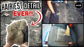 Deep Cleaning The HAIRIEST Vehicle I've Ever Seen! | Insane DISASTER Detail and Pet Hair...