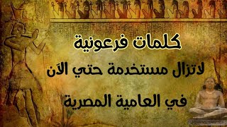 كلمات فرعونية لاتزال مستخدمة حتي الآن في العامية المصرية | كلمات هيروغلفية مستخدمة | مذهل