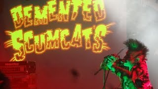 Demented Scumcats - Splatter Baby (HD Live)