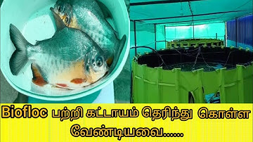 BIOFLOC METHOD IN TAMIL(Important tip)