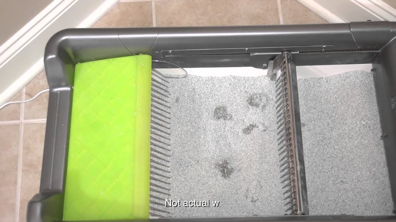 petsafe advanced automatic cat litter box