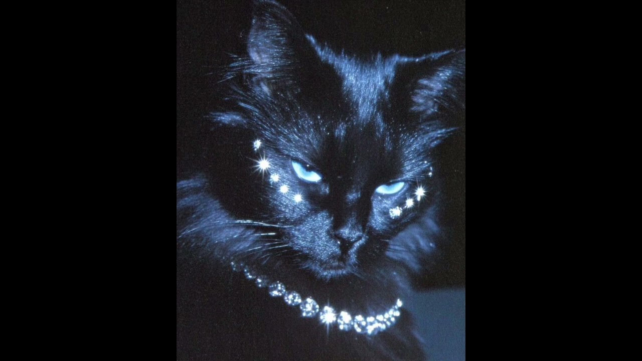 (FREE) type beat trap mafia dark rare "F*CK LOVE" | poz0.12 beats 