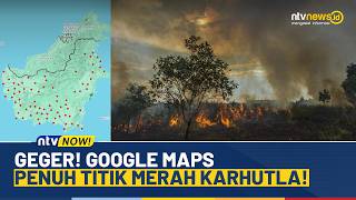 Kalimantan Dipenuhi Titik Merah Karhuta, Hotspot di Aplikasi Google Maps | NTV NOW screenshot 3