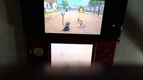 Catch Up On Nintendogs+cats!