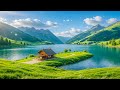 Beautiful Relaxing Music Stop Overthinking Stress Relief Music Sleep Music Calming Music 542 Beautiful Relaxing Music Stop Overthinking Stress Relief Music Sleep Music Calming Music 542