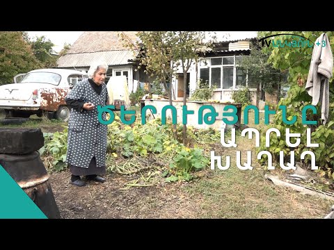 Արմենուհի տատի իմաստուն խրատը