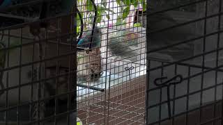 Водные Процедуры