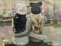 لاتغيبي ياعطر سنيني تصميمي عن الاصدقاء 