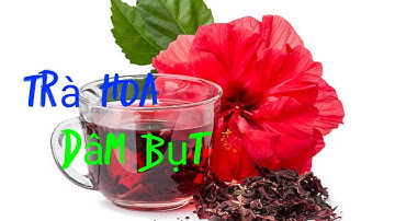 Surprising hibiscus tea benefits - Lợi ích bất ngờ từ trà hoa dâm bụt