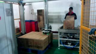 robotic arm palletizer