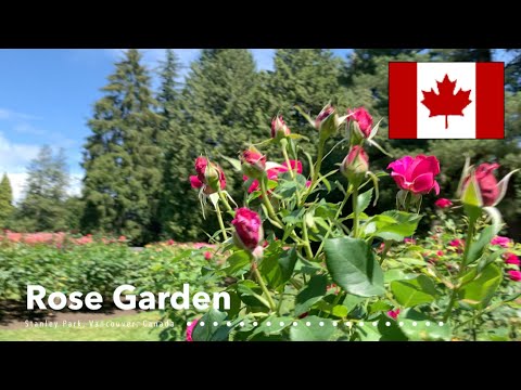 Video: Gids vir Stanley Park Gardens in Vancouver, BC