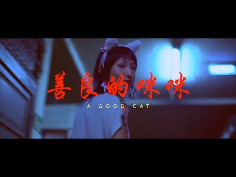 人人合輯“乾坤大挪移"Gawee / 韓森Professor H【善良的咪咪 A Good Cat】feat. 咪咪(AKA喵喵)  (Official Music Video)