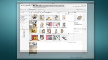 Picturepark DAM: Mailing and Ordering (Digital Asset Management)