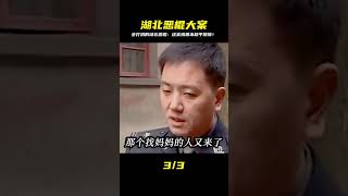 湖北大案:會打洞的惡棍 #案件 #探案 #懸案 #懸疑 #案件解說