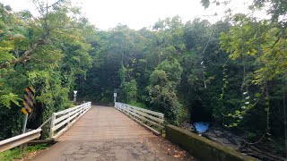 [Virtual Roadtrip] Old Mamalahoa Highway Scenic Route, Big Island, Hawaii (Akaka towards Hilo) screenshot 5