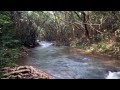 Fly fishing in the rivers of hong kong  part 2 chubs in mountainrivers