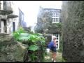 visit to island corvo