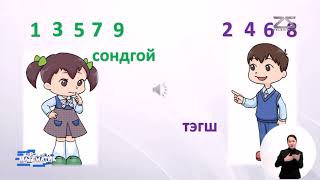 картинка: Теле Хичээл 1-р Анги 2020-02-11 Мягмар гараг