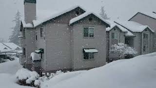 Snow in Tumwater WA Feb 2019
