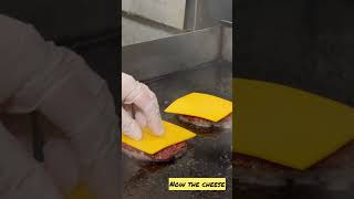 2 Cheeseburger Patties