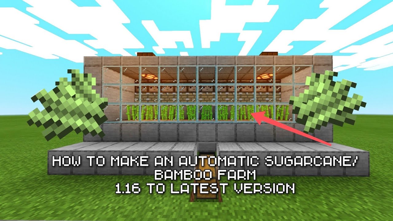 How to make an automatic sugarcane/bamboo farm | MCPE/XBOX/PC/NINTENDO ...