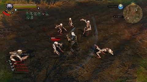 Witcher 3 - Ghost Mode - Euphoria Cat Whirl vs Nekkers