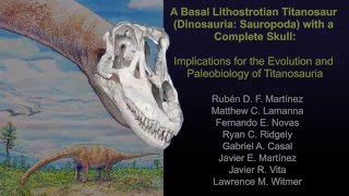 Sarmientosaurus skull & brain - titanosaurian sauropod from Argentina