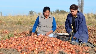CINE CON VECINOS Cortometraje "COMUNAMADRE" (Hilario Ascasubi,  Pcia. Bs. As., Argentina)