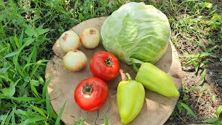 THE BEST CABBAGE FRY RECIPE | QUICK CABBAGE RECIPE | Asmr food | Quick dinner recipes