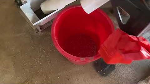 China Factory Rice Color Sorter M64 with elevator