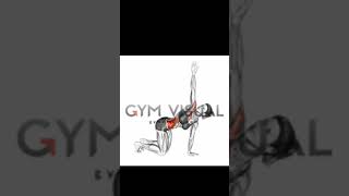Royalty-free GIFs about anatomy of fitness