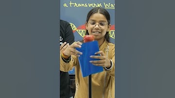 Can you hide an apple with two transparentsheets?🤯🤯😇#theoryofphysics#physicsfun#gwalior#anubhavsir