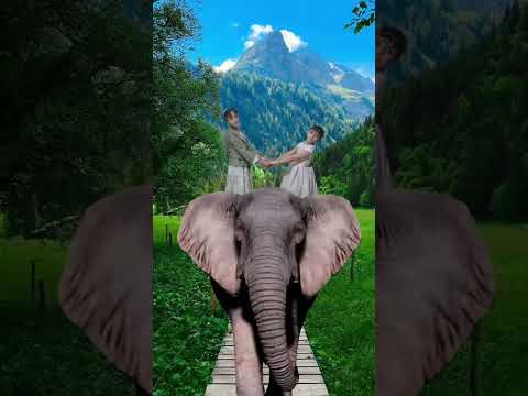 الفيل الطيوب 