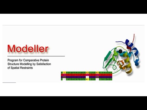 Modellerを使用したホモロジーモデリング-初心者向けチュートリアル（パート1）