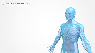The Complement System