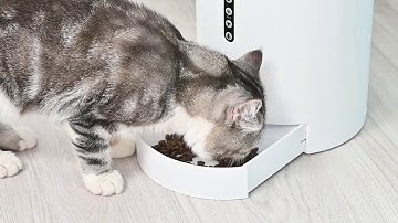 Petmii Automatic Pet Feeder - Portion Control & Voice Recording