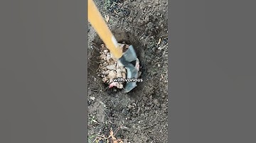 Spent Mushroom Blocks?! Here