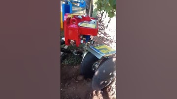 inRow Disc Cultivator For Weeds Between The Vines || Made By Arrizza SRL Italy || #shorts