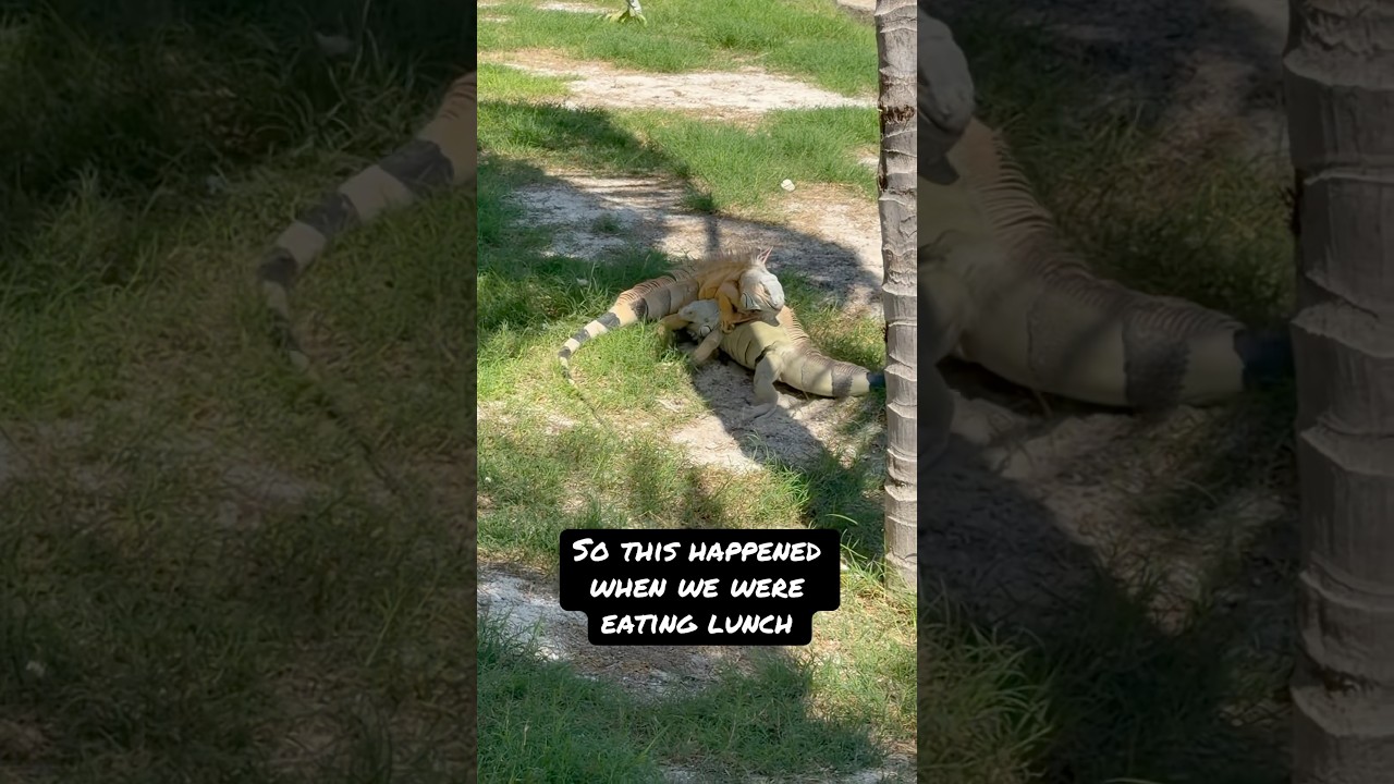 Lunch was interrupted today!