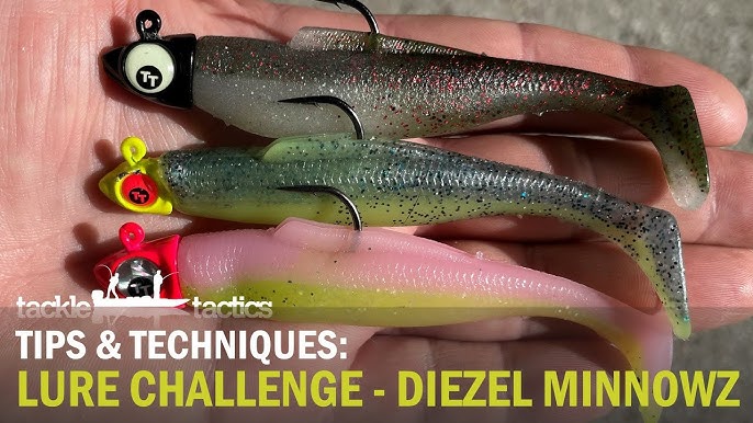 How To Use The Z-Man DieZel MinnowZ To Catch Big Fish (Rigging Tips, Where  To Use Them & More) 