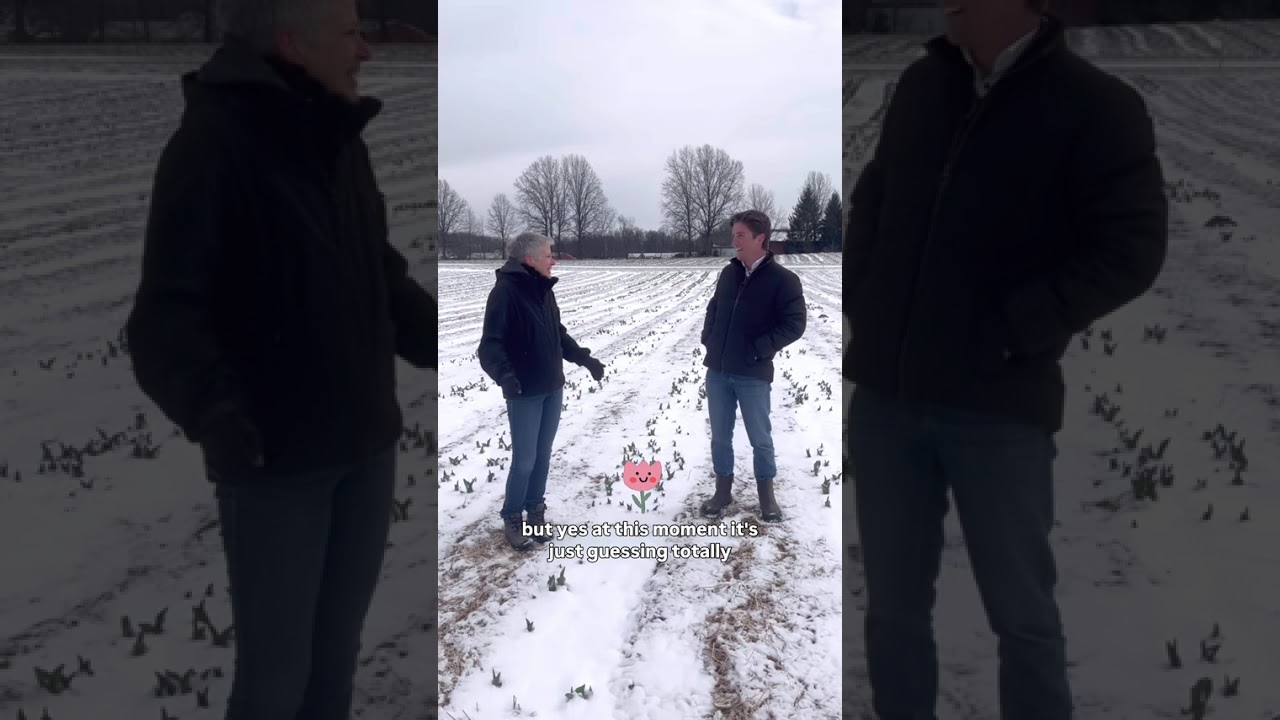 2026 Tulip Talks Pt 3 - White House Fruit Farm