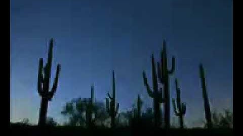 الشيخ انيس السعيطي /ماتيسر من سوره البقره