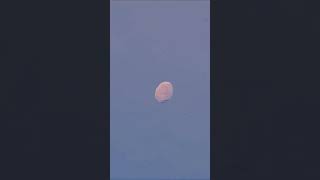 Are you leading the way or just following? 🚀✨ #Interstellar #LeaderOrKo #K2-18b#spacesuccess #planet